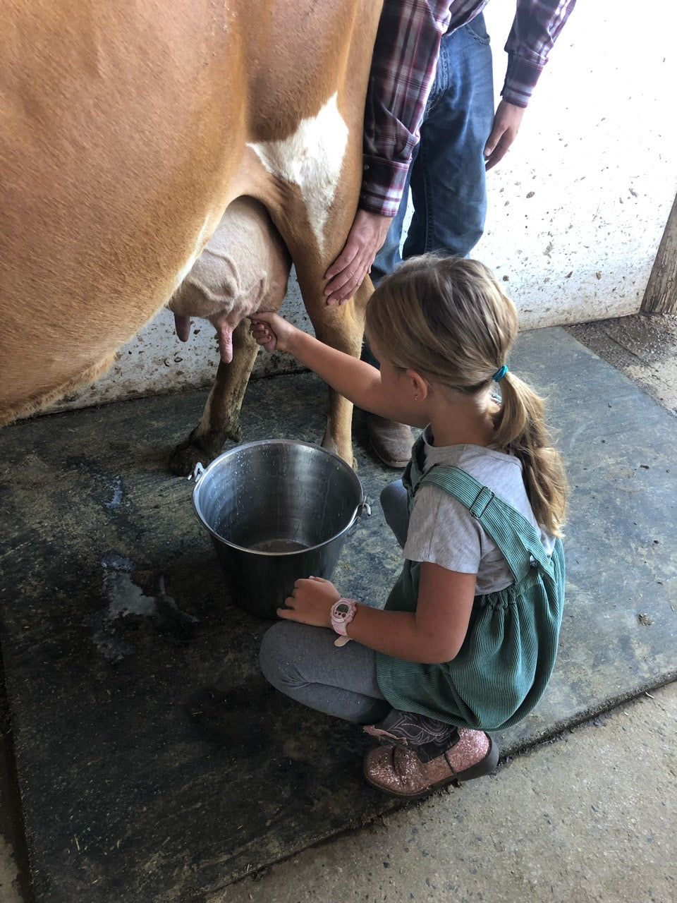 Free Range Farm School